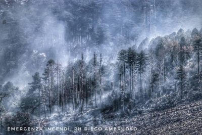 Il piccolo fiammiferaio
