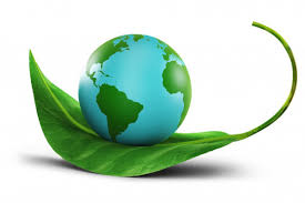  Dal WWF il bilancio ambientale 2019